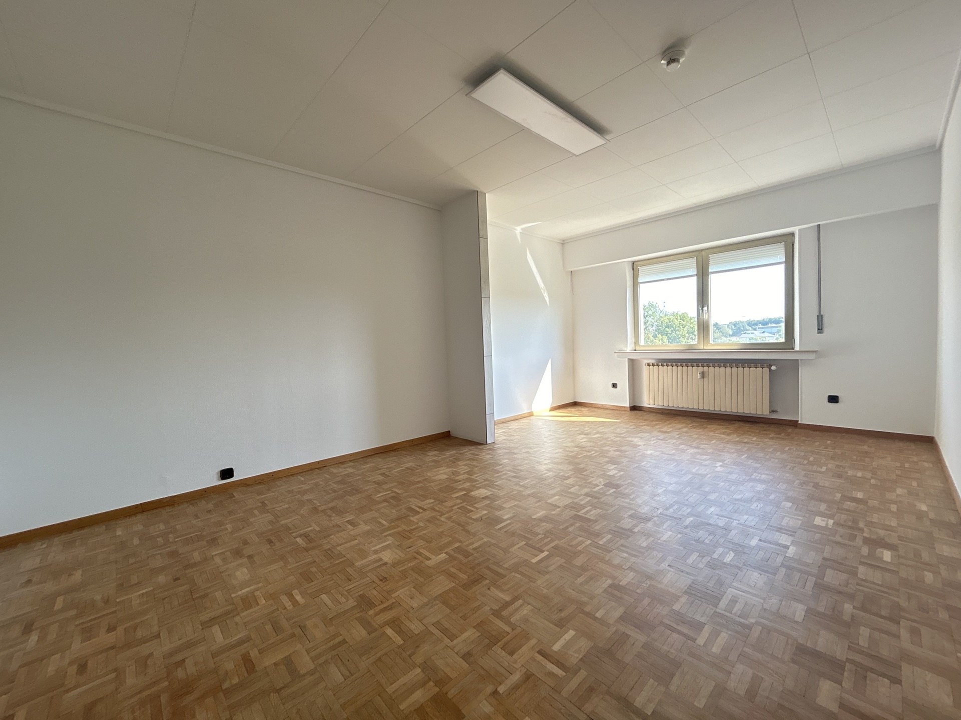 Bureau • 234.21m²